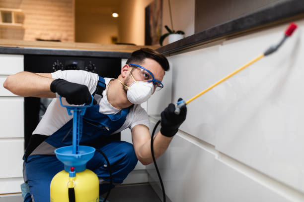 Best Pest Inspection Near Me  in Port Ewen, NY