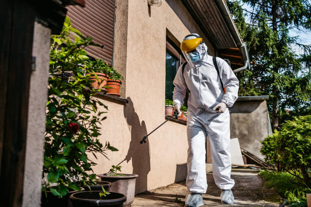Professional Pest Control in Port Ewen, NY