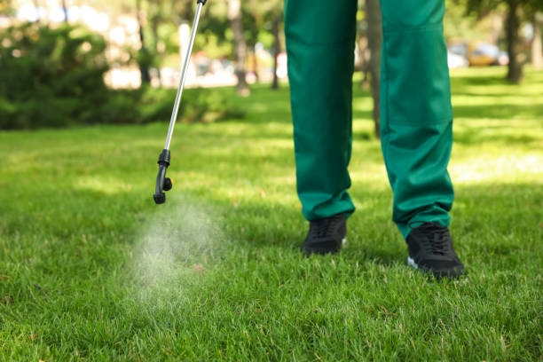 Best Wildlife Control Services  in Port Ewen, NY