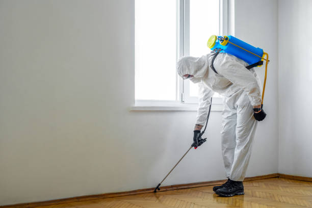 Best Pest Control Near Me  in Port Ewen, NY