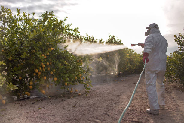 Best Commercial Pest Control Services  in Port Ewen, NY