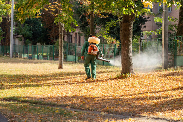 Pest Control Cost in Port Ewen, NY